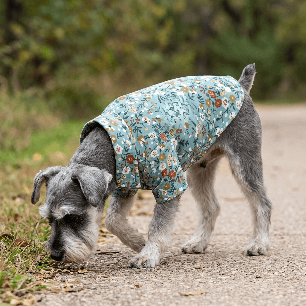 Floral Ways Dog Shirt on a Schnauzer, featuring breathable fabric for outdoor fun and stylish comfort by Dogs & Cats.