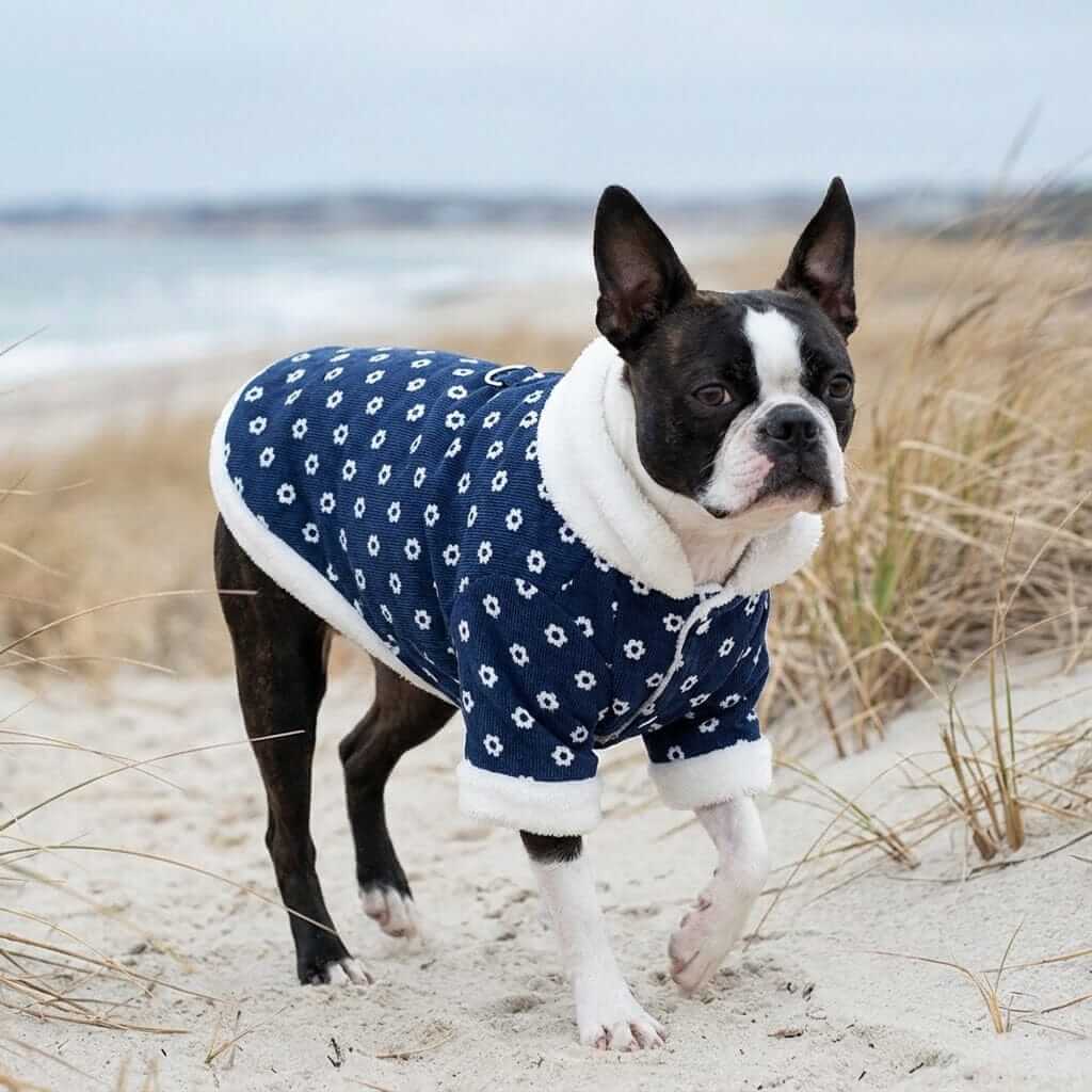 Furry Fiesta Corduroy Winter Dog Coat featuring breathable soft fabric and lightweight design for dogs & cats.