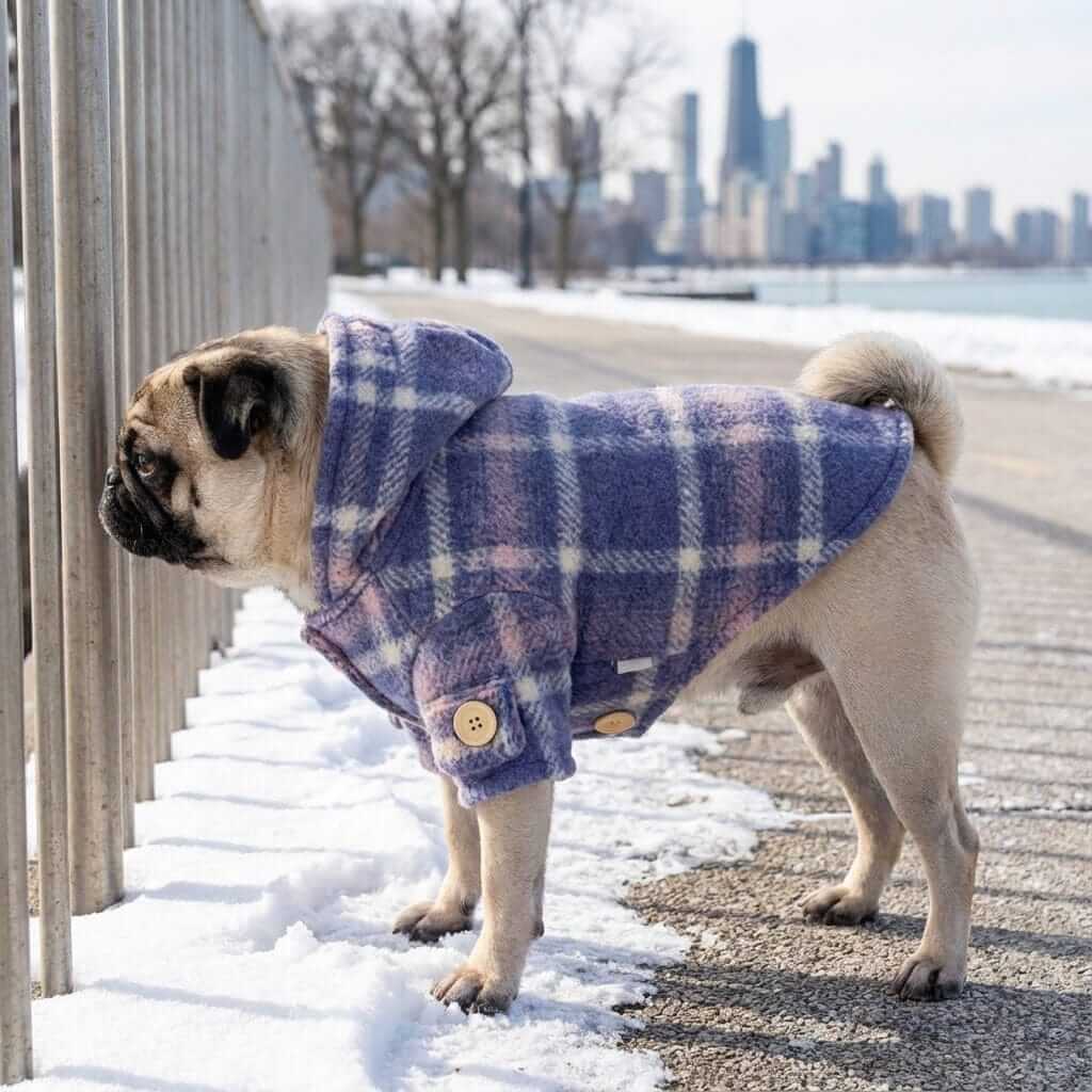 Furtastic Hooded Plaid Dog Coat on a pug in a snowy landscape. Soft, breathable fabric perfect for dogs and cats.
