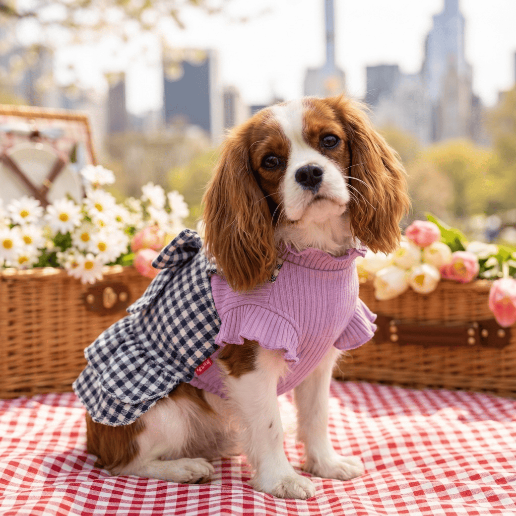 Fuzzy Wuzzy Plaid Skirt on a dog, featuring breathable fabric, lightweight feel, and designed for Dogs & Cats.