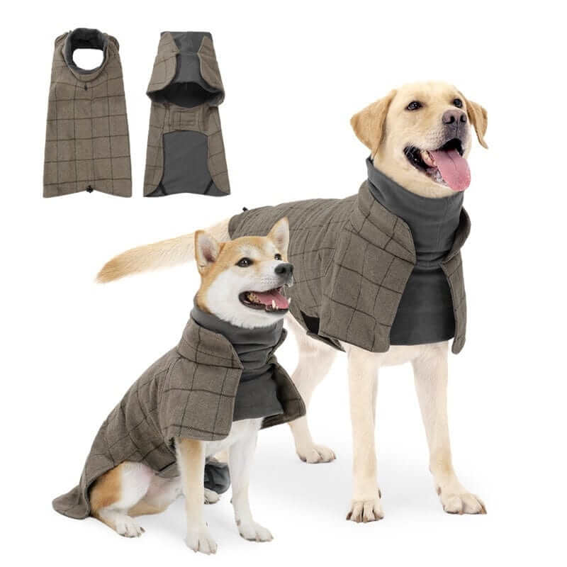 Gentleman Dog Coat for medium-sized male dogs, featuring stylish plaid design and warm fleece material from Dogs & Cats.