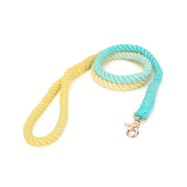 Gradient Hand-Dyed Cotton Dog Leash in yellow and blue, featuring a strong, soft texture, ideal for dogs and cats by Dogs & Cats.
