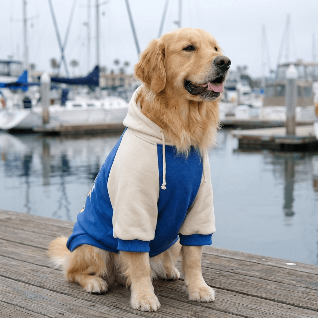 Heritage Block Dog Hoodie on a golden retriever, showcasing warmth, comfort, and style for dogs and cats.
