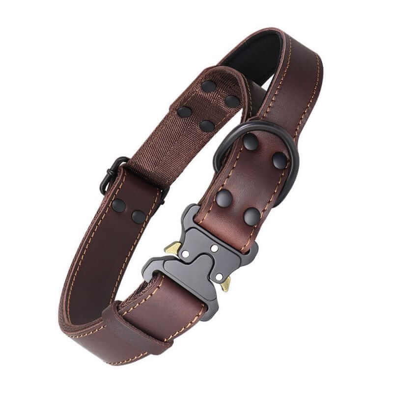 Heritage Leather Dog Collar, classic style, genuine leather, secure buckle, Dogs & Cats brand.