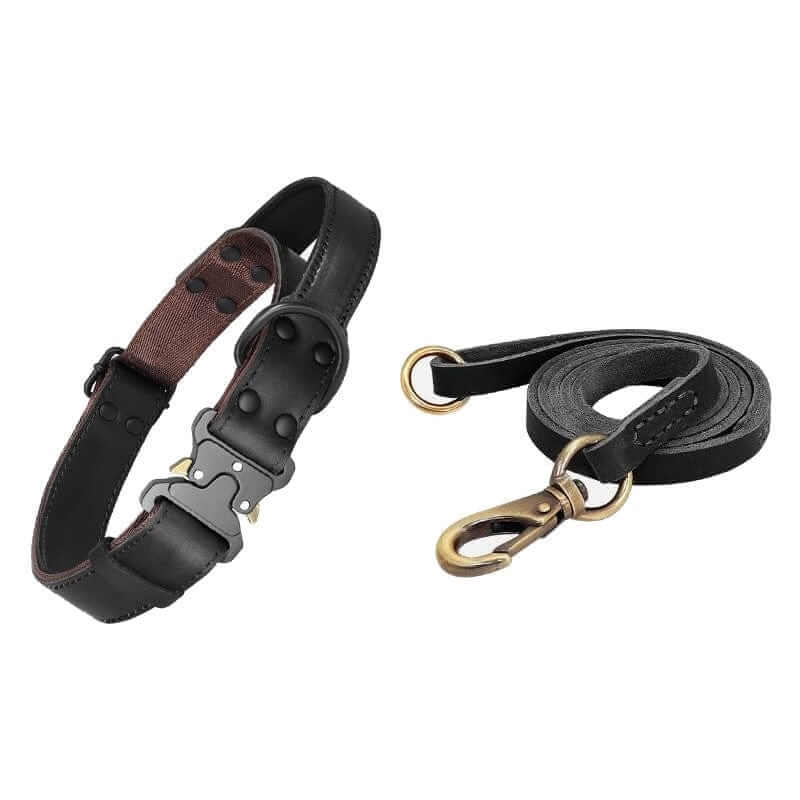 Heritage Leather Dog Collar and leash set showcasing classic style, crafted from genuine leather for durability and comfort.