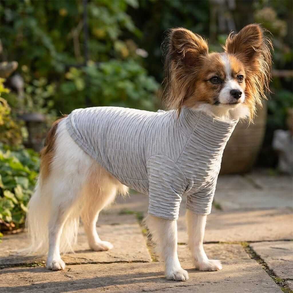 Honey Comb Pattern High Neck Dog Shirt for Dogs & Cats, featuring breathable fabric and a unique design.