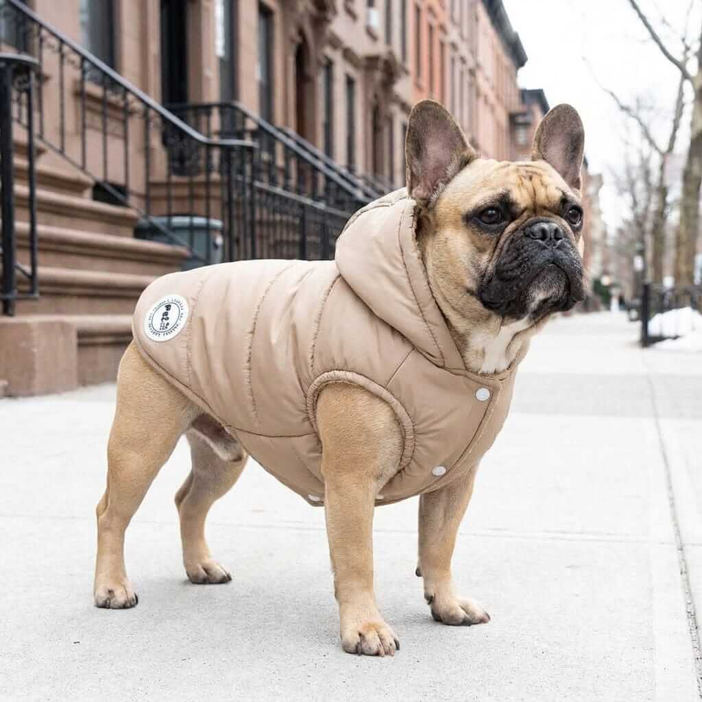 Hooded Ribbed Warm Dog Jacket features a cozy design for dogs and cats, providing warmth and comfort for outdoor adventures.