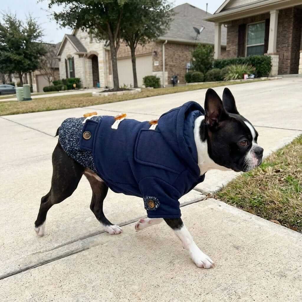 Horn Button Hooded Coat for Dogs & Cats, featuring horn button detailing and leash hole, perfect for winter.