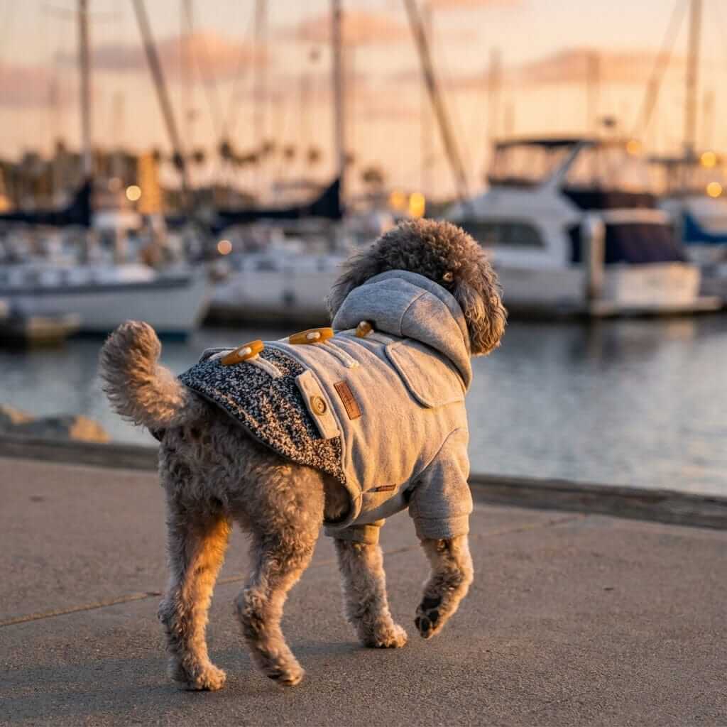 Dog wearing Horn Button Hooded Coat by Dogs & Cats, featuring horn button detailing and leash hole for winter comfort.