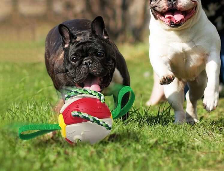 Indestructible Dog Ball & Interactive Toy with dogs playing in the grass, designed for durability and fun.