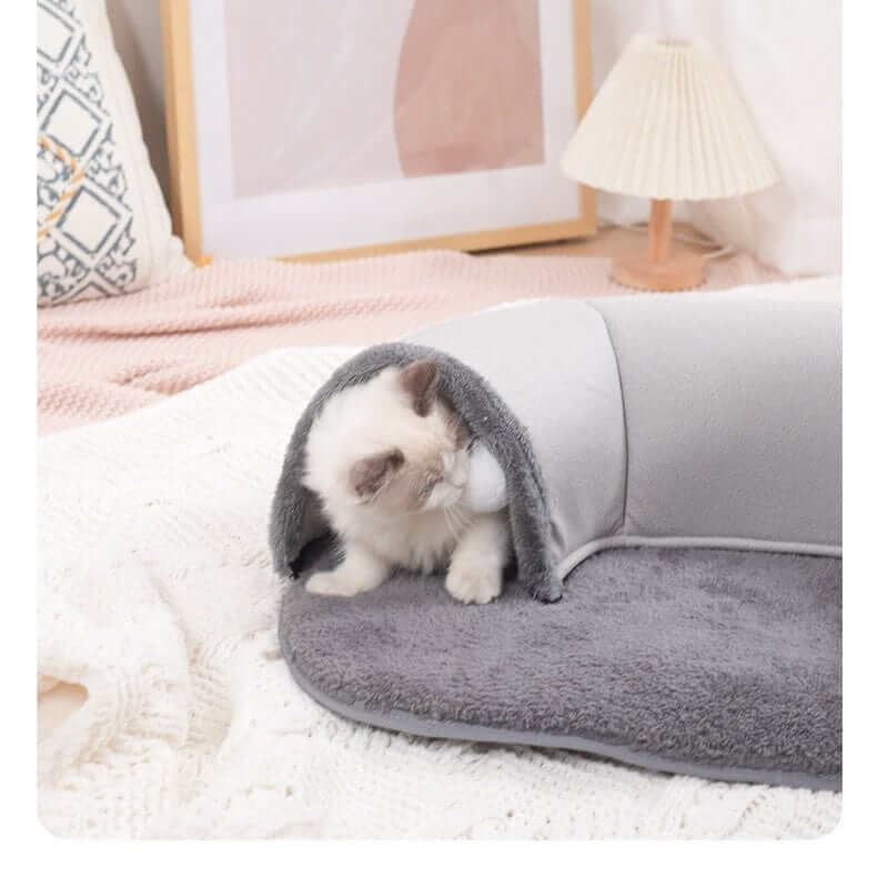 Cute kitten peeking out of the Interactive Cat Tunnel Bed with cozy design for play and rest.