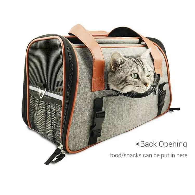 JetSet Paws Luxury Travel Pet Carrier & Car Seat with a cat peeking out, featuring back opening for snacks.