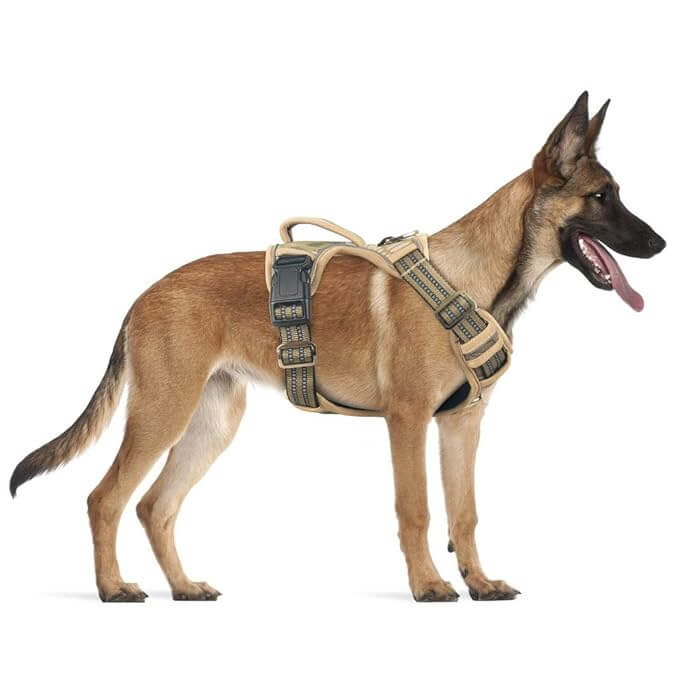 K9Command Tactical Harness on an active dog, featuring no-pull front clip, sturdy handle, and custom hook-and-loop panels.