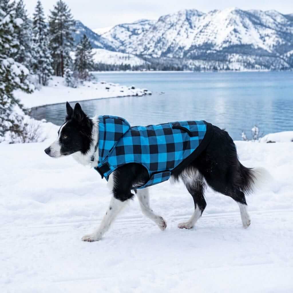 Kangaroo Pocket Plaid Dog Hoodie on a dog in a snowy landscape, featuring plaid pattern and lightweight design for comfort.