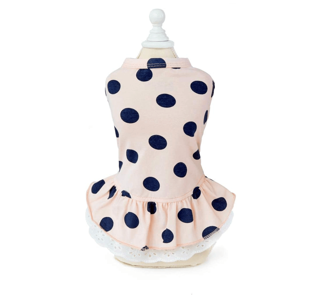 Lace Polka Dot Dog Dress, dog dress with lace edges, perfect for spring and summer, by Dogs & Cats brand.
