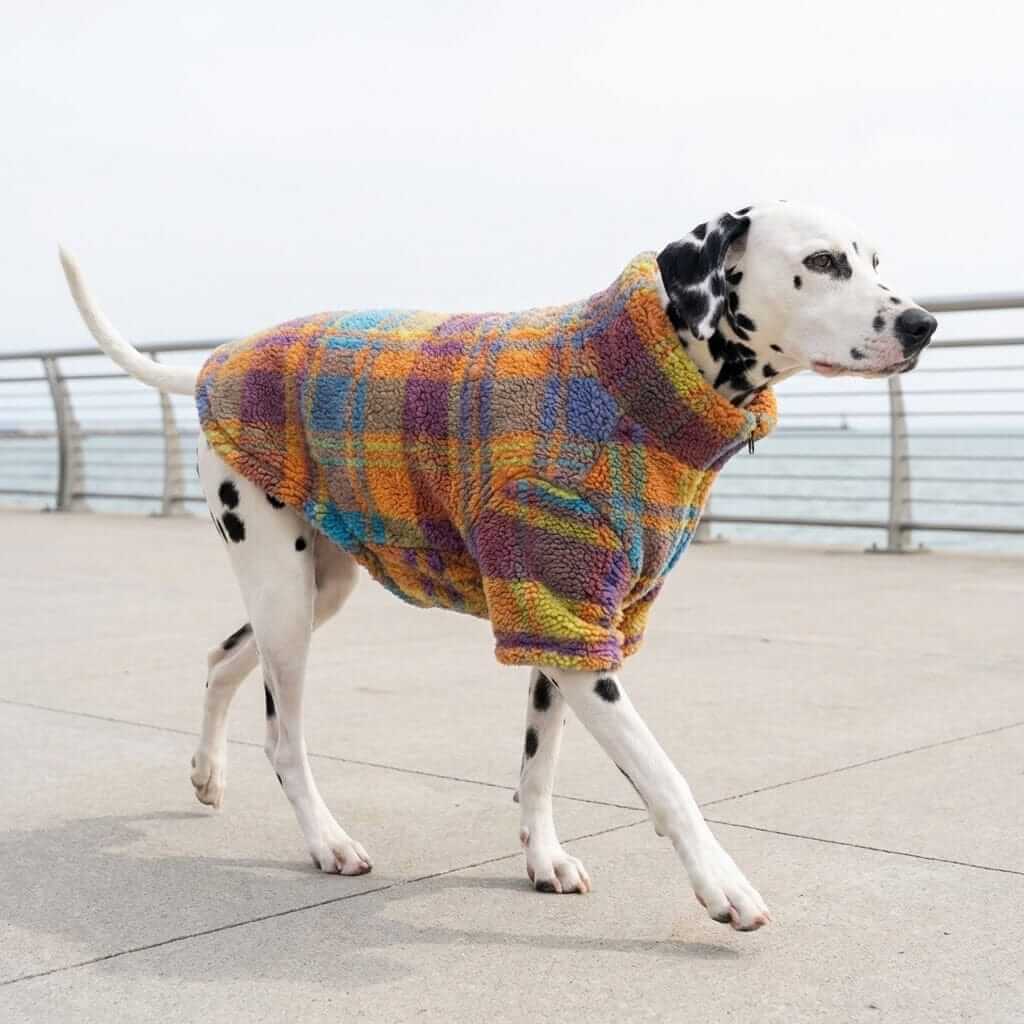 LambCloud Plaid Sherpa Jacket for dogs, ultra-soft warmth, vibrant plaid pattern, stylish winter dog coat.