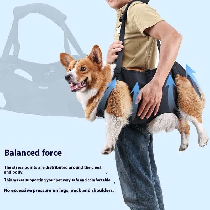 LiftEase Dog Support Harness in use, showing balanced force distribution for comfort and support for dogs and cats.