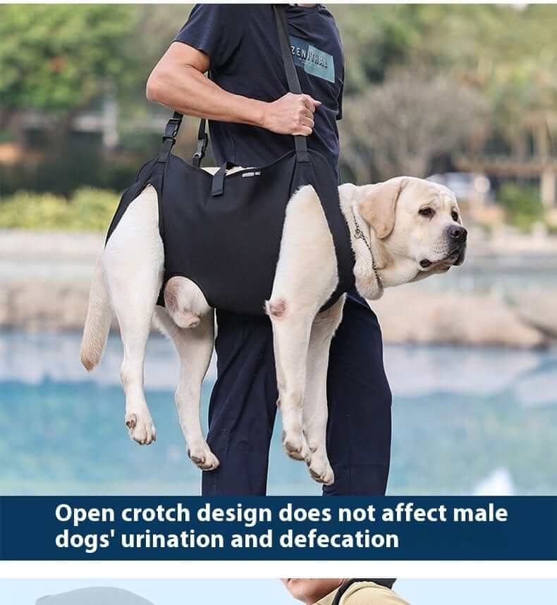 LiftEase Dog Support Harness image showing open crotch design for male dogs, providing comfort and ease for mobility challenges.