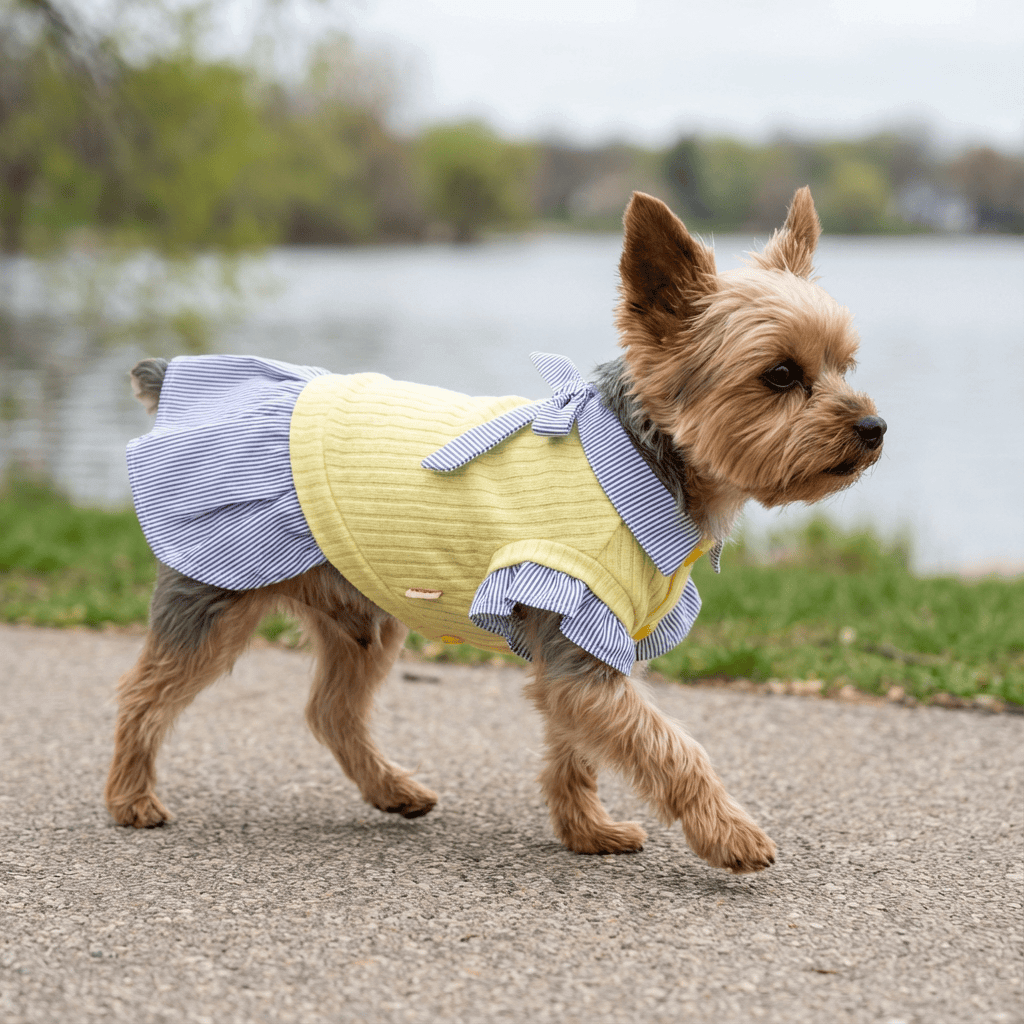 Like A Princess Dog Dress for Dogs & Cats, features breathable fabric and a stylish bow, perfect for your little princess.