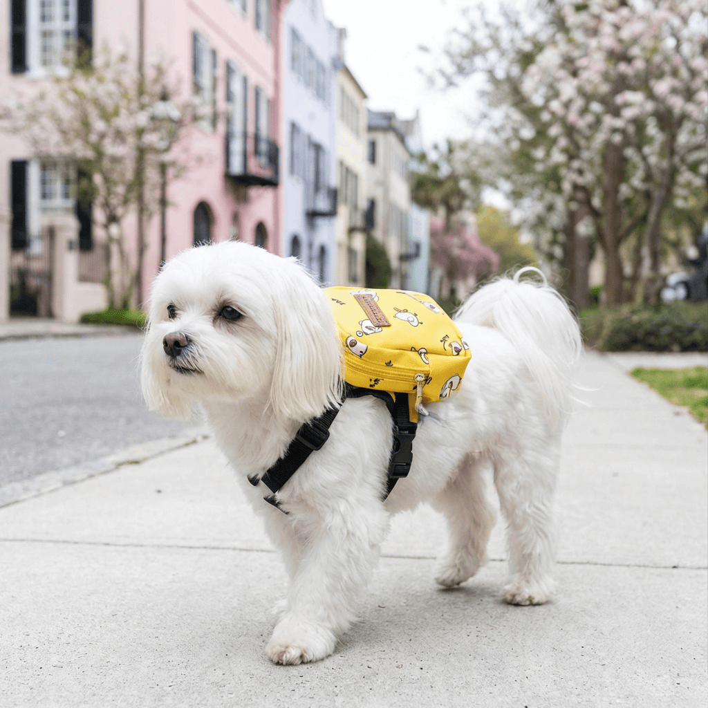 Little Bird Pet Backpack on a small white dog, featuring adjustable straps, a large zippered pocket, and a stylish design.