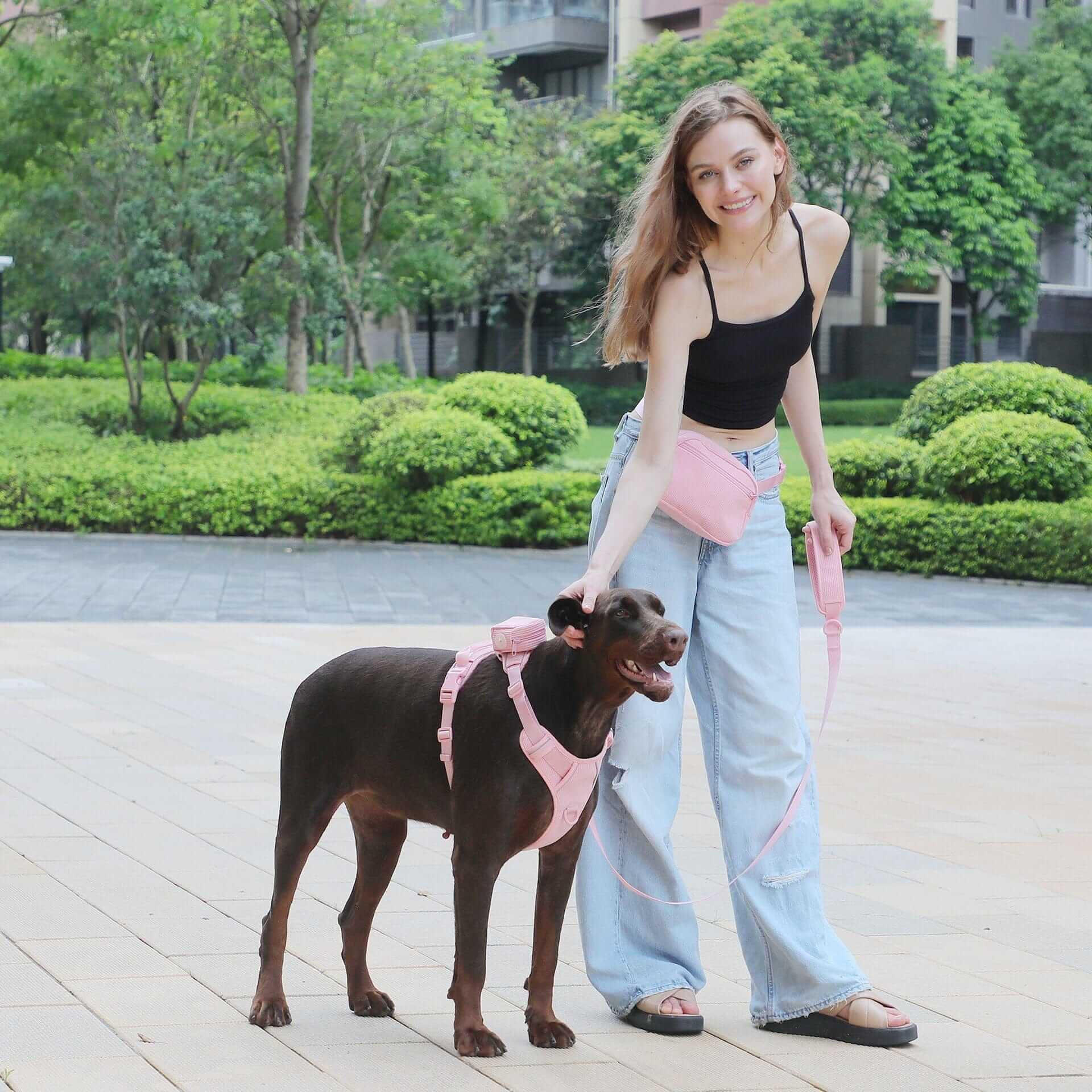 The Luxe Corduroy Dog Collection features a stylish brown dog in a corduroy harness with owner in a park.