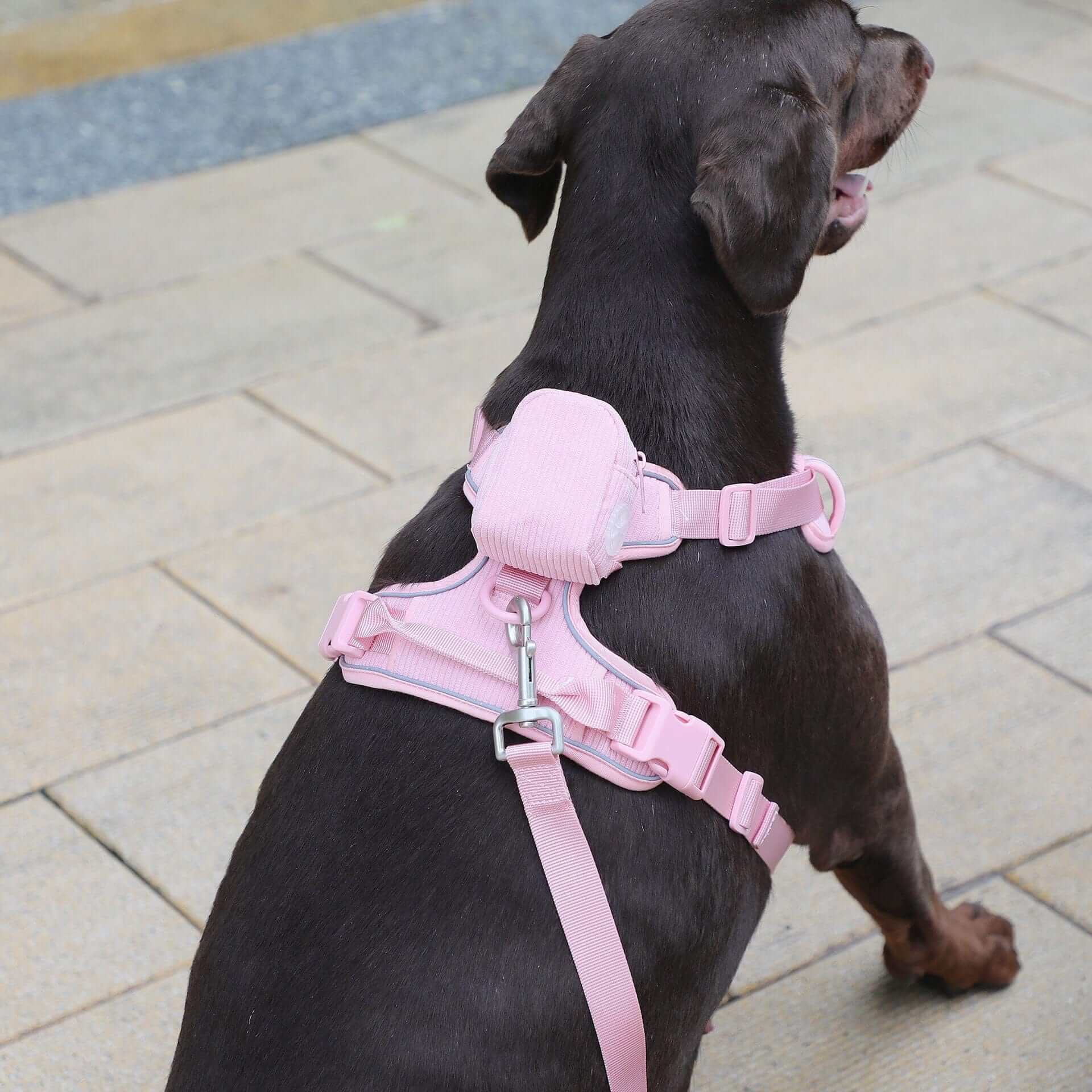 The Luxe Corduroy Dog Collection pink harness on a dog, featuring premium corduroy and stylish design, perfect for Dogs & Cats.