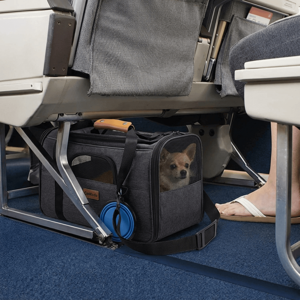Luxe Voyager Pet Carrier under airplane seat with a small dog, showcasing luxury and functionality for pet travel.