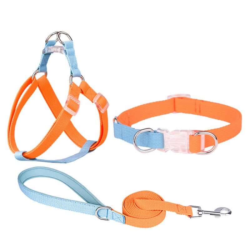 LuxStride 3-Piece Dog Set featuring a harness, collar, and leash in vibrant colors for stylish dogs.