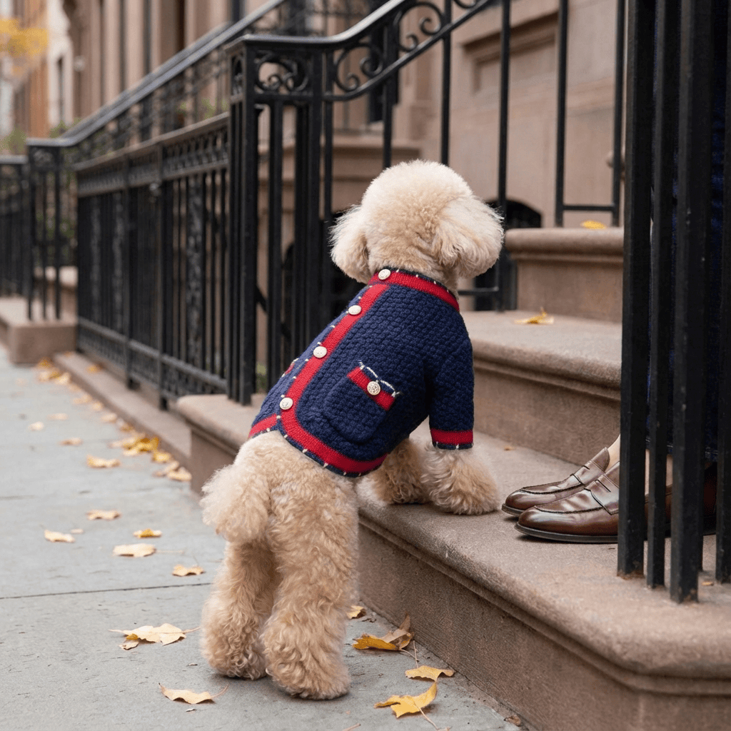 Fluffy dog in a luxury knit dog cardigan, showcasing style and warmth, perfect for dogs and cats by the brand.