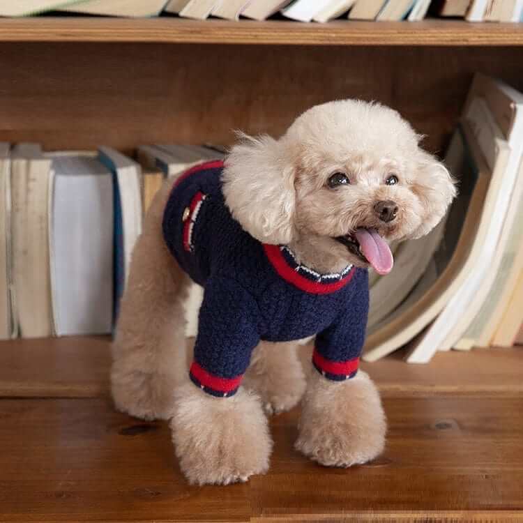 Luxury Knit Dog Cardigan for dogs, featuring premium knit, stylish design, and comfort by Dogs & Cats.