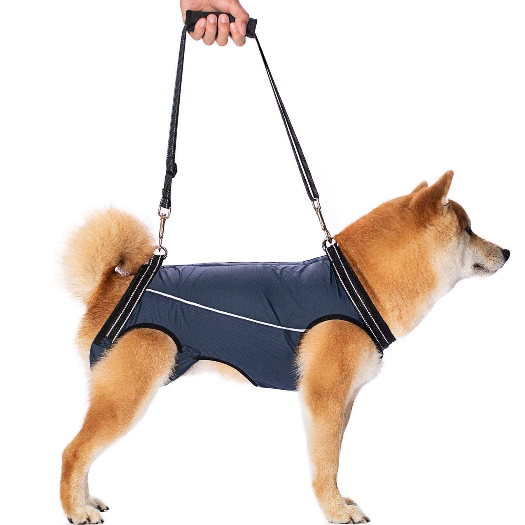 MobilityLift Dog Support Harness for additional support, featuring soft materials for comfort in dogs and cats.