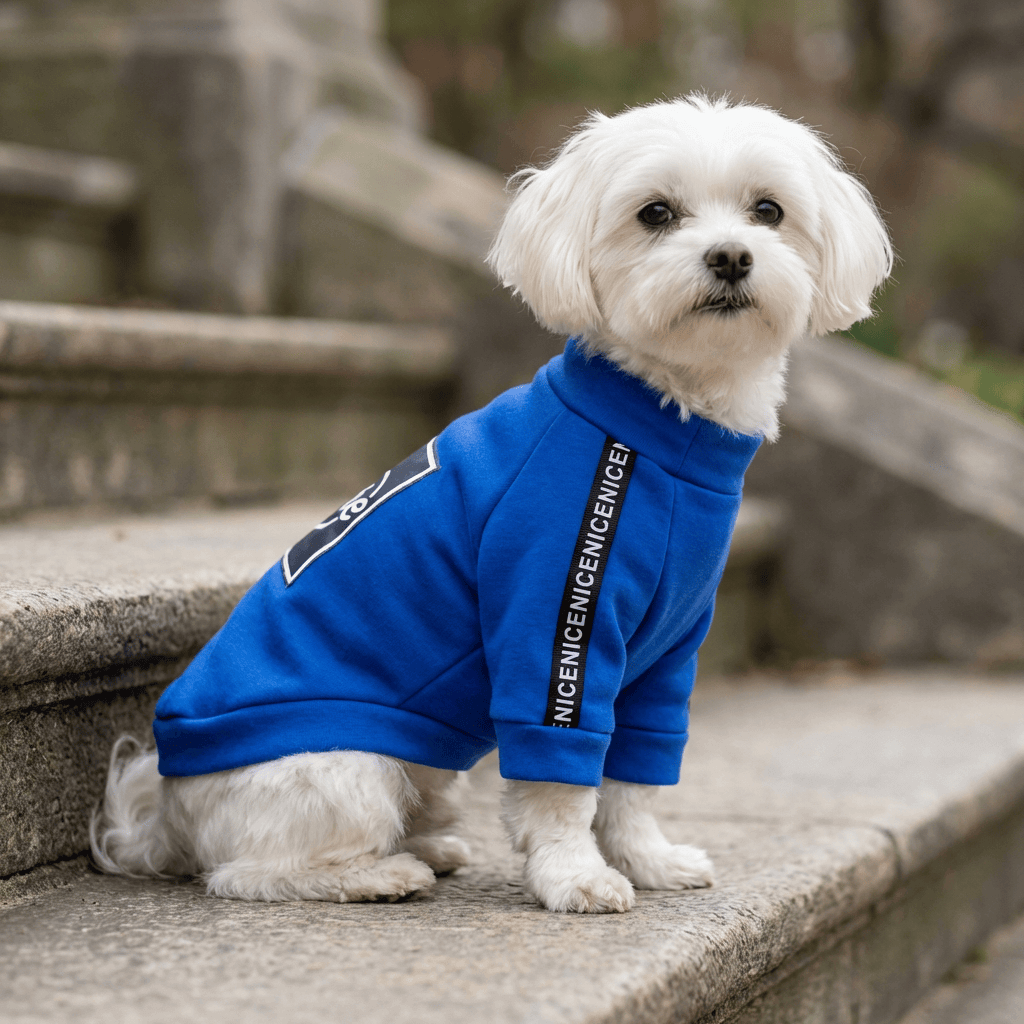 More Love Dog T-Shirt on a stylish white dog, showcasing comfort and breathability, perfect for spring and summer.