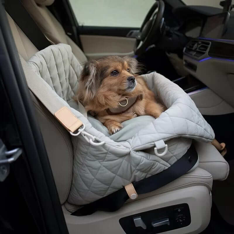 Multifunctional Pet Travel Bag for Dogs & Cats, waterproof with safety features, ensuring comfort during car rides.