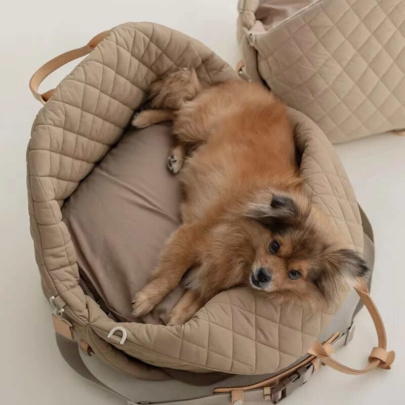 Multifunctional Pet Travel Bag with a cozy interior for dogs and cats, ensuring comfort and safety while traveling.