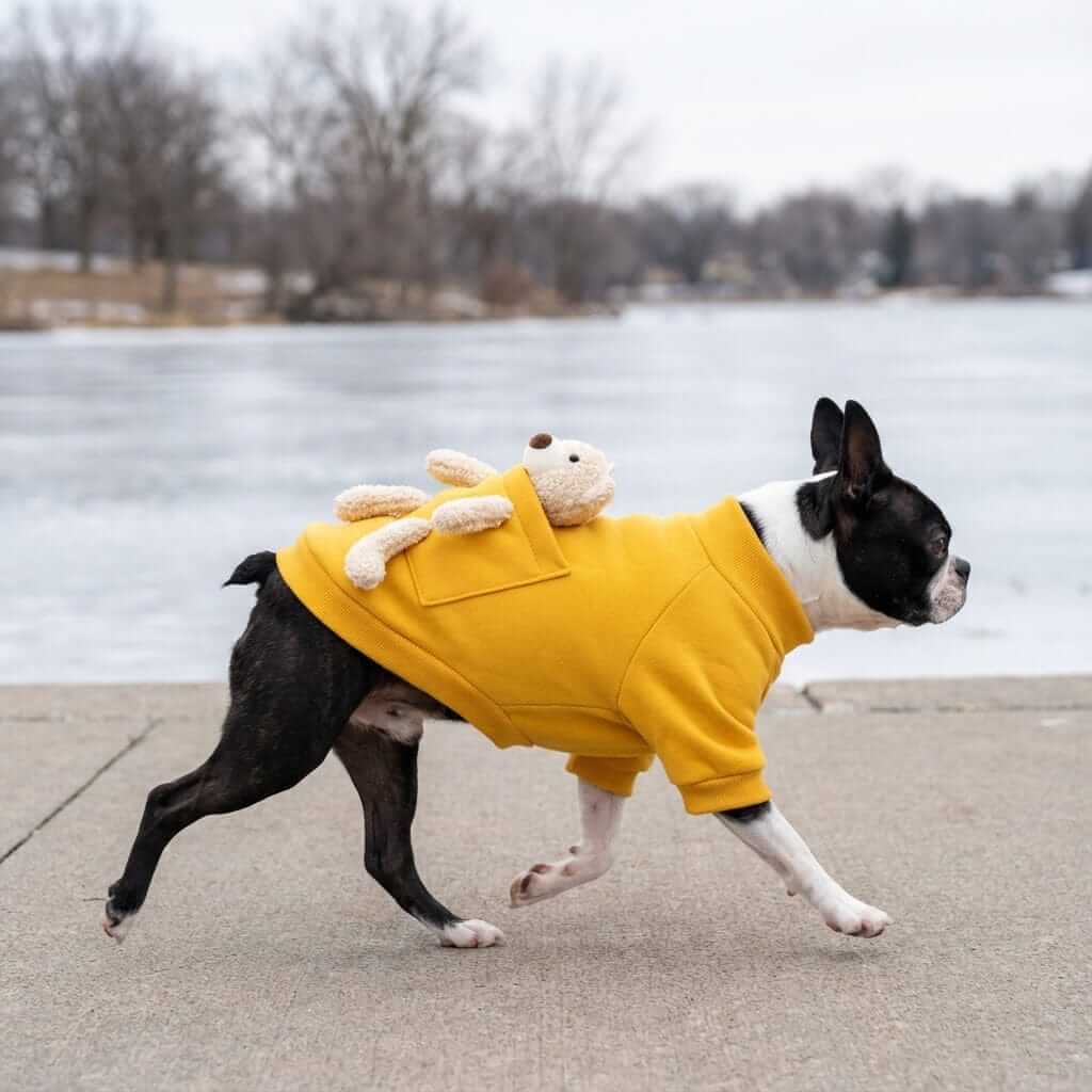 My Teddy Bear Small Dog Sweater on a Boston Terrier, featuring a teddy, breathable soft cotton, for Dogs & Cats.