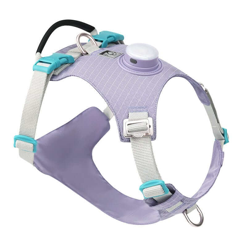 NightBright LED Dog Harness, illuminated dog harness, rechargeable LED light for safety, Dogs & Cats brand.