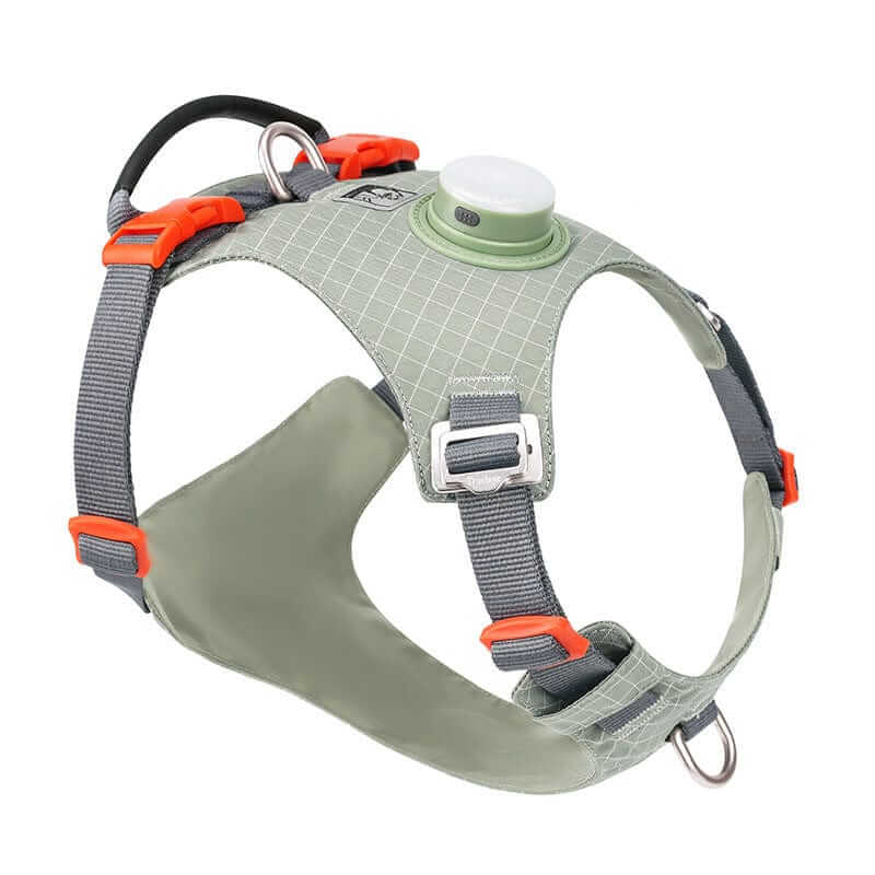 NightBright LED Dog Harness, durable pet harness with rechargeable LED light for safety, Dogs & Cats brand.