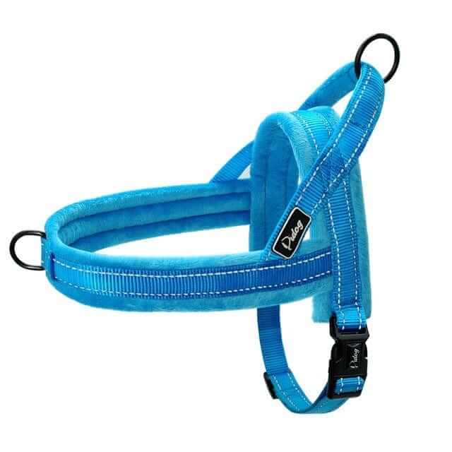 No-Pull Padded Dog Harness in blue featuring padded straps for comfort and control by Dogs & Cats.