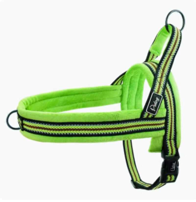 No-Pull Padded Dog Harness in green with padded straps for comfort and control for dogs by Dogs & Cats.