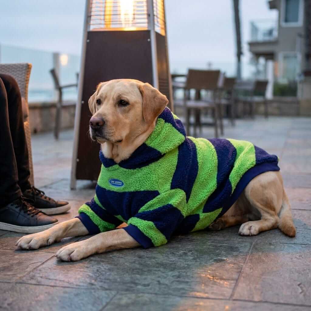 Nordic Stripe Sherpa Hoodie for dogs in green and blue, featuring a cozy design for cold weather comfort.