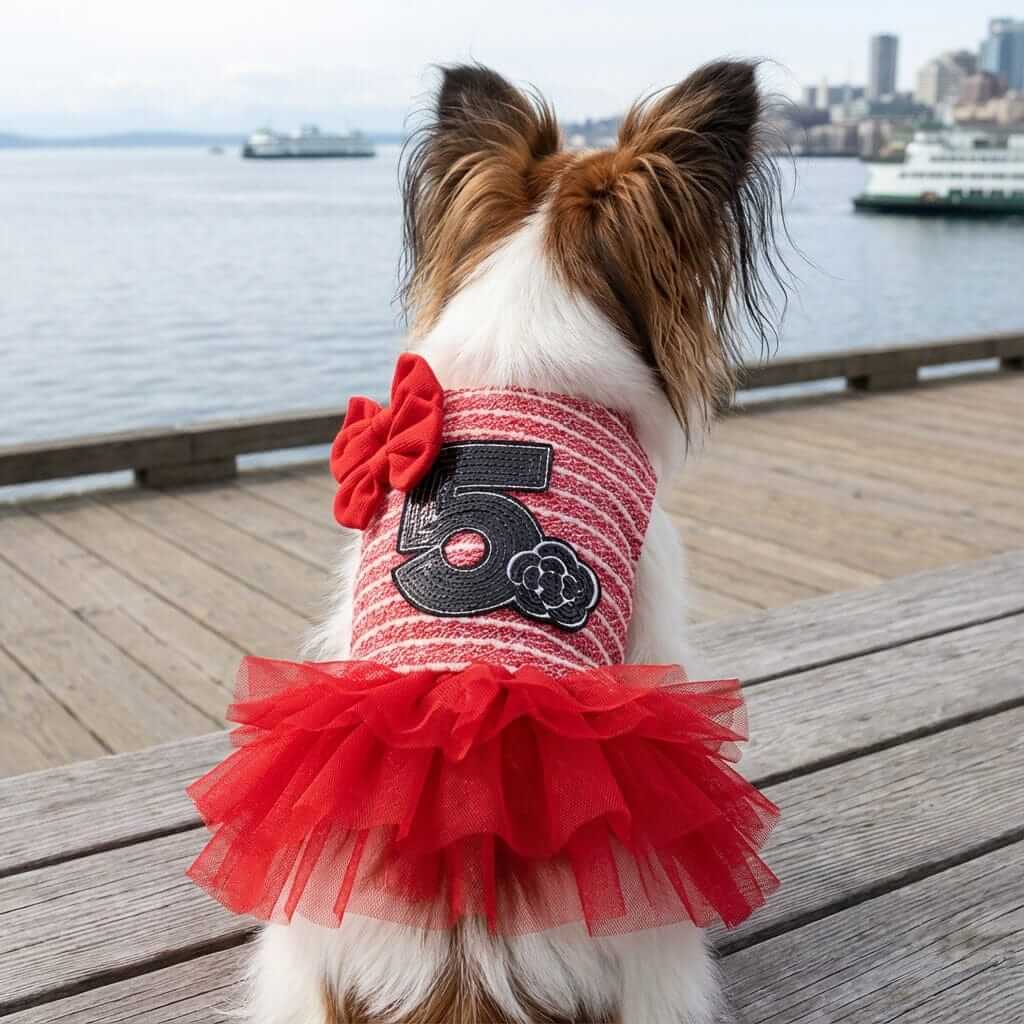 Number 5 Double Bow Tutu Dress for dogs, featuring breathable tutu skirt, round neckline, and comfy design by Dogs & Cats.