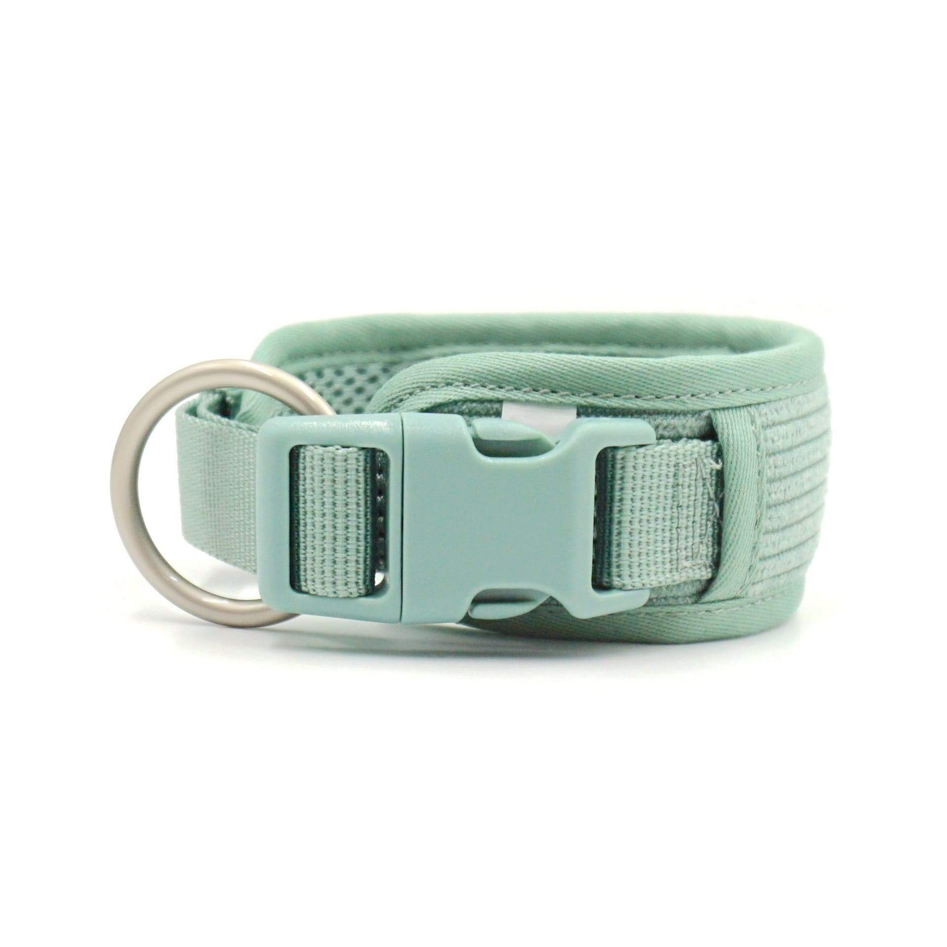 PawPerfect Dog Harness Kit adjustable collar in mint green, designed for dogs, featuring durable material and a secure buckle.
