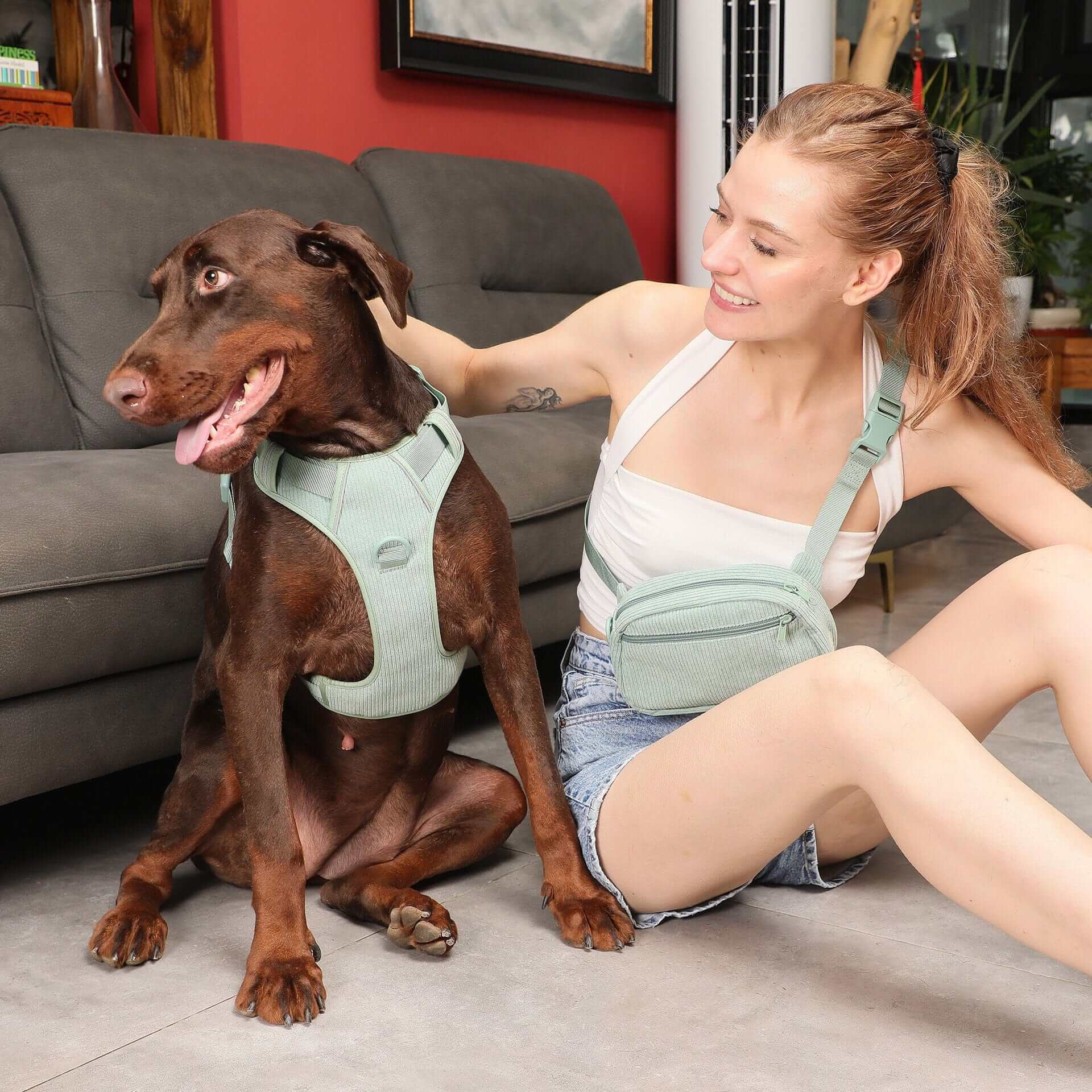 PawPerfect Dog Harness Kit featuring a dog wearing a supportive vest harness and a woman using a matching mini backpack.