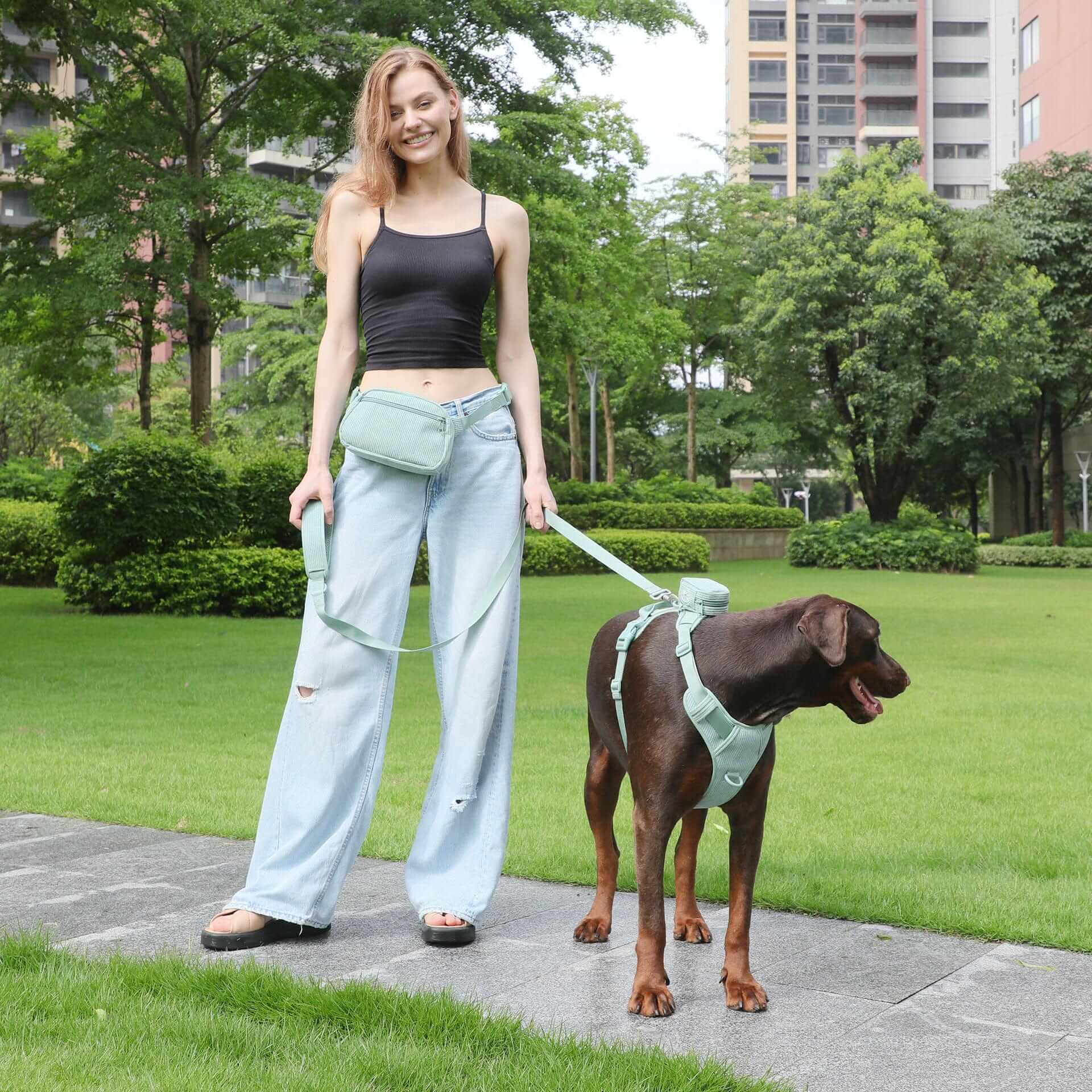 PawPerfect Dog Harness Kit with supportive vest, adjustable collar, matching leash, and mini backpack for stylish outings.