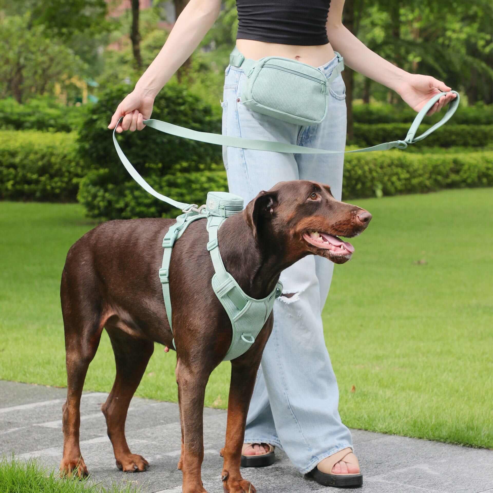 PawPerfect Dog Harness Kit with dog wearing stylish harness and owner using matching leash in park setting.