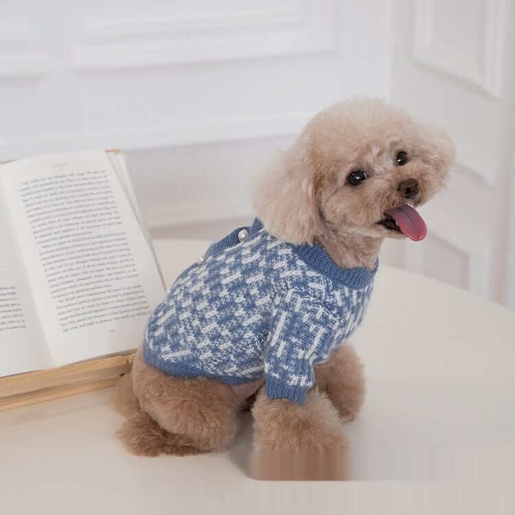 Pearl Knit Dog Sweater on a small dog, featuring a cozy design and stylish blue pattern, perfect for pets.