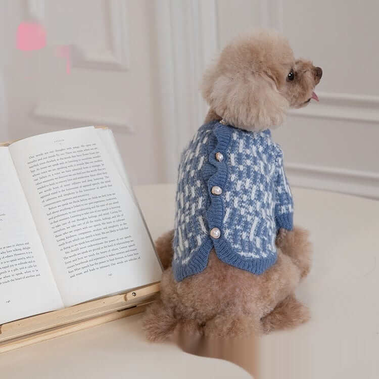 A small dog wearing a Pearl Knit Dog Sweater with elegant pearl detailing, sitting near an open book.