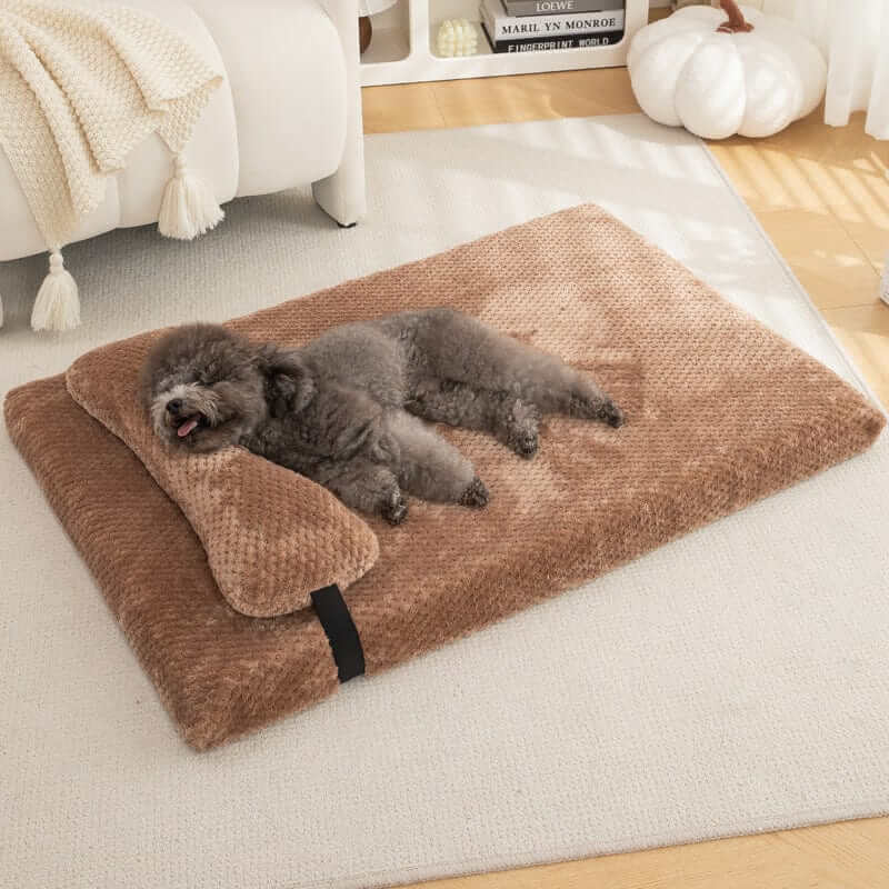 Cozy dog sleeping on Pineapple Dreams Pet Bed, plush design, perfect for dogs & cats, stylish pet sanctuary.