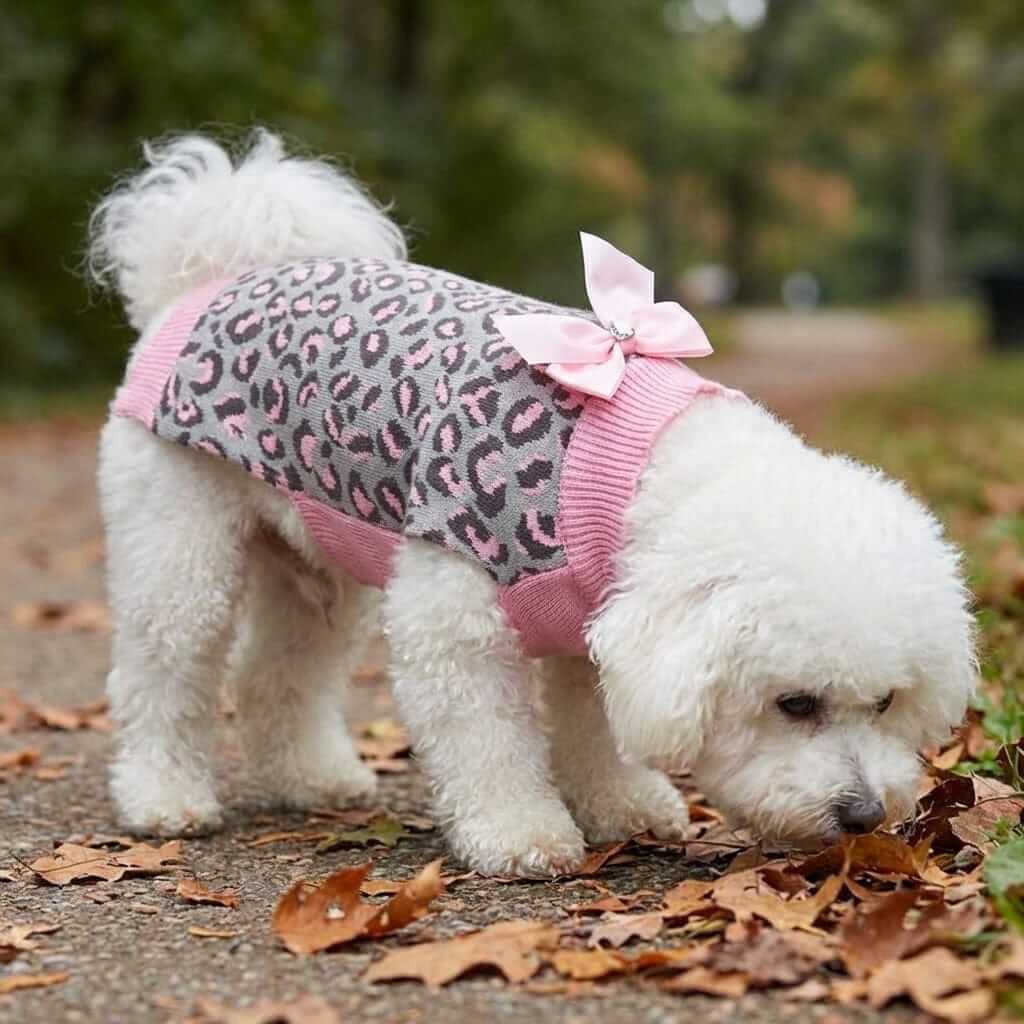 Pink Leopard Bow Sweater on a fluffy white dog exploring outdoors, showcasing its soft fabric and stylish design.