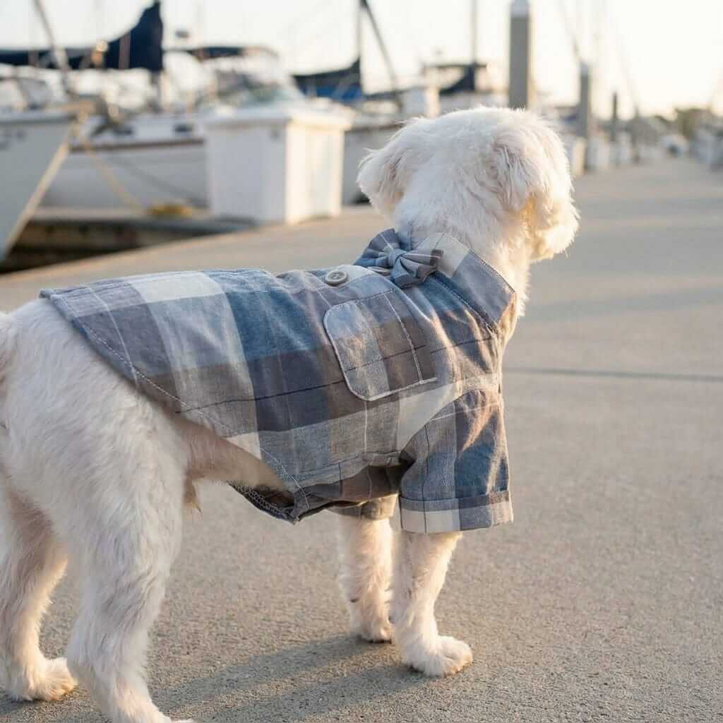Dog wearing a Plaid Bow Tie Stand Collar Shirt, featuring breathable fabric, stylish plaid design, perfect for pets.
